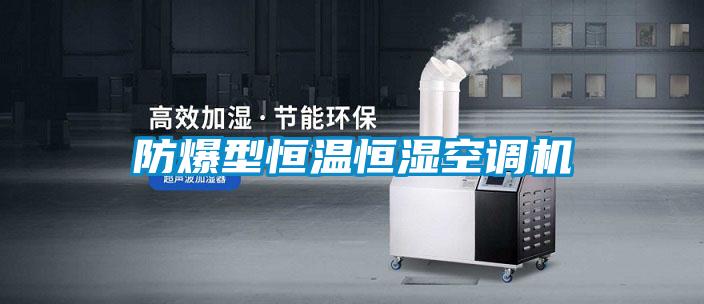 欧美黄色性爱视频网站 防爆型恒温恒湿空调机