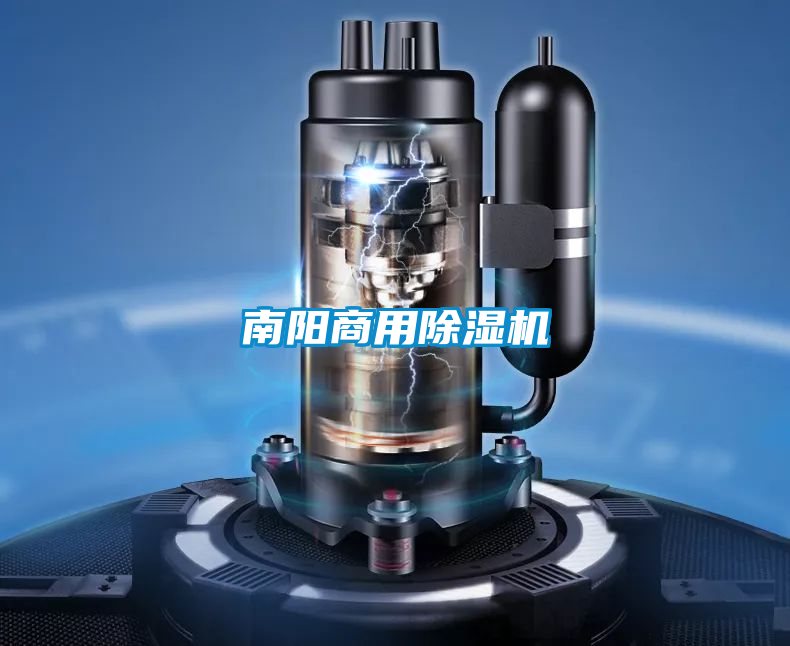 欧美黄色性爱视频网站 南阳商用除湿机