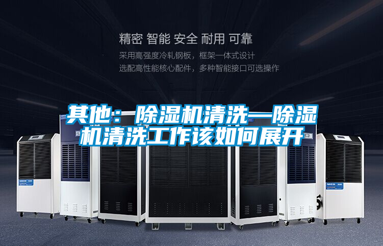 欧美黄色性爱视频网站 其他：除湿机清洗—除湿机清洗工作该如何展开