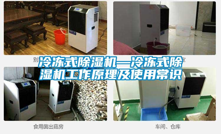 欧美黄色电影在线播放 冷冻式除湿机—冷冻式除湿机工作原理及使用常识