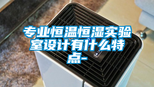 欧美黄色性爱视频网站 专业恒温恒湿实验室设计有什么特点-