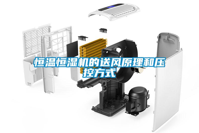 欧美成色手机在线观看 恒温恒湿机的送风原理和压控方式