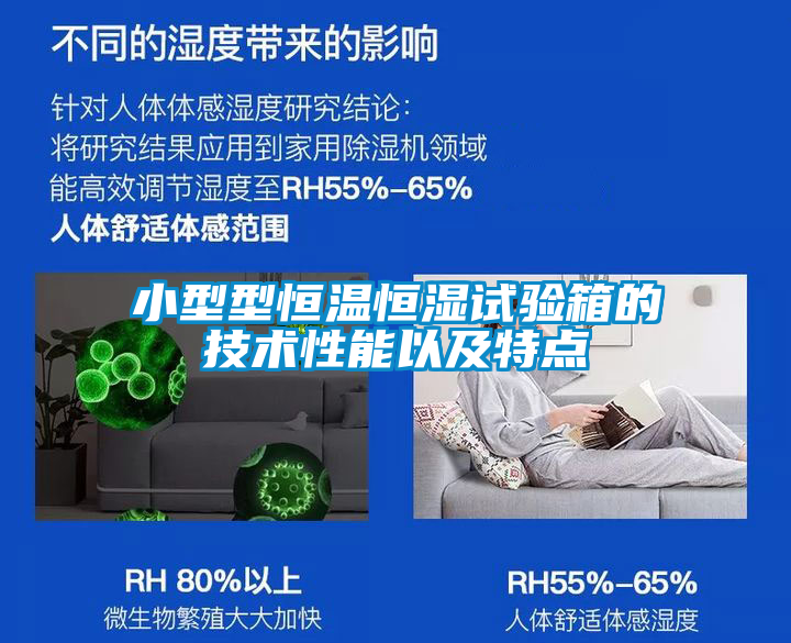 欧美黄色电影在线播放 小型型恒温恒湿试验箱的技术性能以及特点