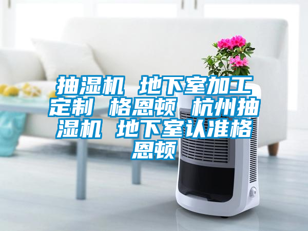 欧美黄色电影在线播放 抽湿机 地下室加工定制 格恩顿 杭州抽湿机 地下室认准格恩顿