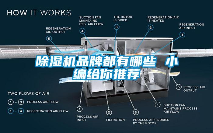 欧美黄色性爱视频网站 除湿机品牌都有哪些 小编给你推荐