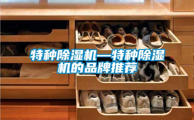欧美黄色电影在线播放 特种除湿机—特种除湿机的品牌推荐