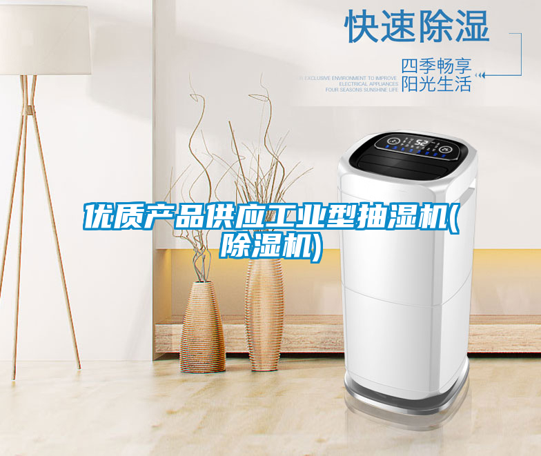 欧美黄色电影在线播放 优质产品供应工业型抽湿机(除湿机)