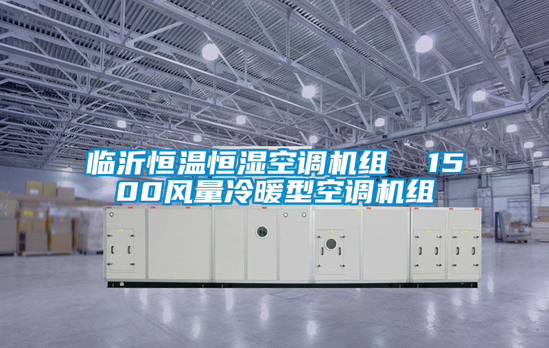 欧美成色手机在线观看 临沂恒温恒湿空调机组  1500风量冷暖型空调机组