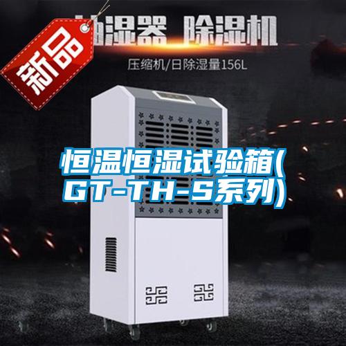 欧美黄色性爱视频网站 恒温恒湿试验箱(GT-TH-S系列)