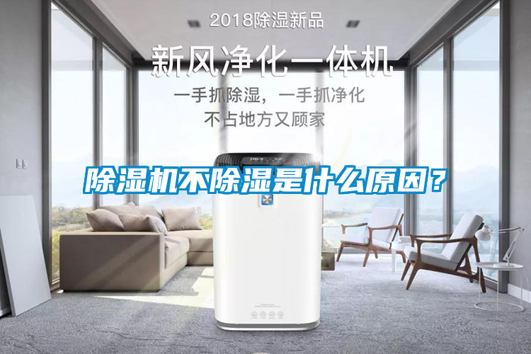 欧美成色手机在线观看 除湿机不除湿是什么原因？