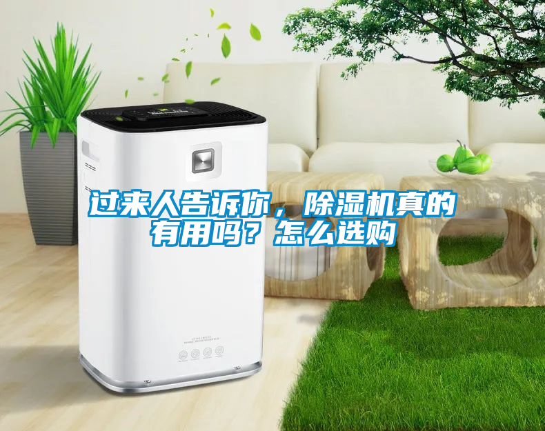 欧美黄色电影在线播放 过来人告诉你，除湿机真的有用吗？怎么选购