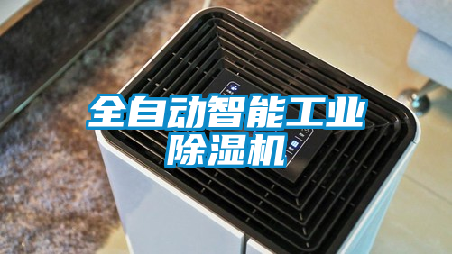 欧美黄色电影在线播放 全自动智能工业除湿机