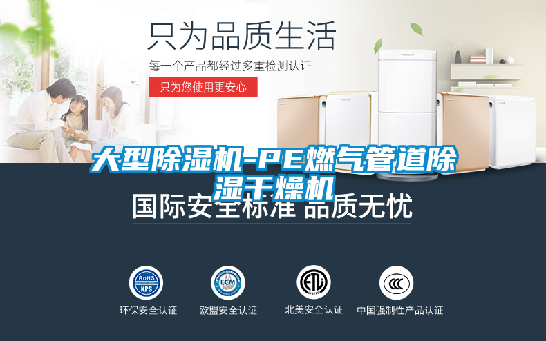 欧美成色手机在线观看 大型除湿机-PE燃气管道除湿干燥机