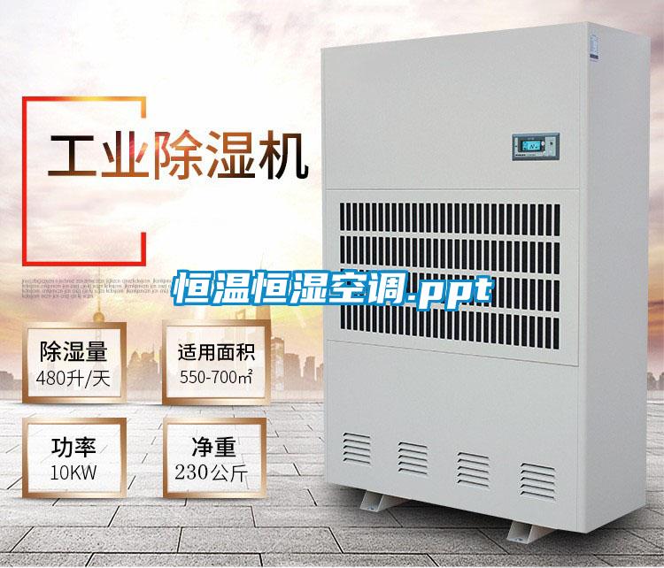欧美黄色性爱视频网站 恒温恒湿空调.ppt
