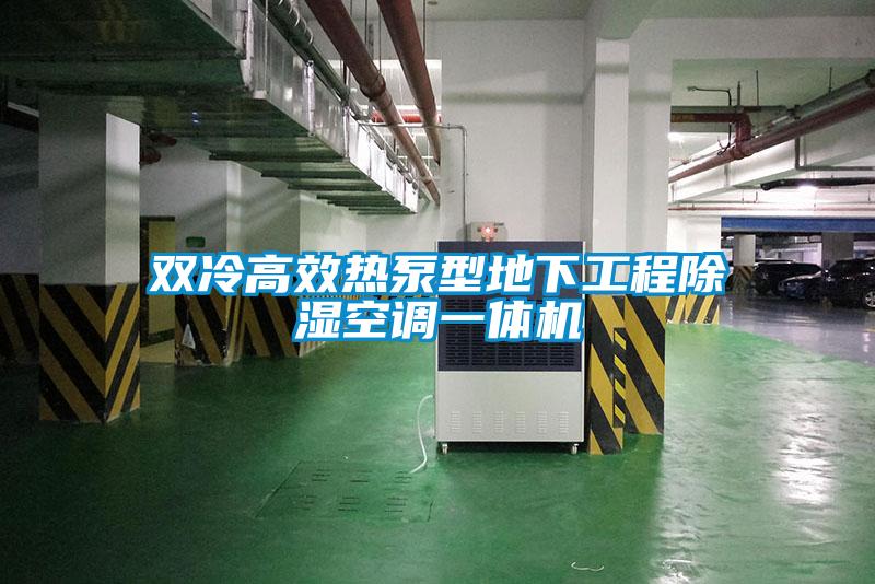 欧美黄色电影在线播放 双冷高效热泵型地下工程除湿空调一体机