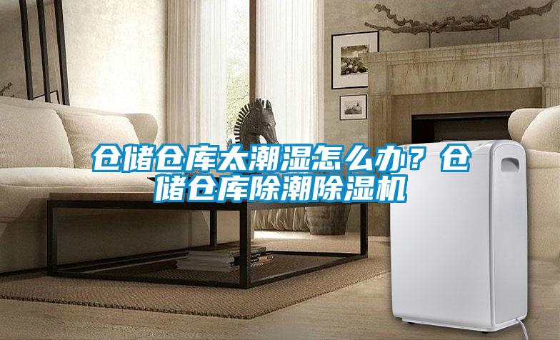 欧美成色手机在线观看 仓储仓库太潮湿怎么办？仓储仓库除潮除湿机