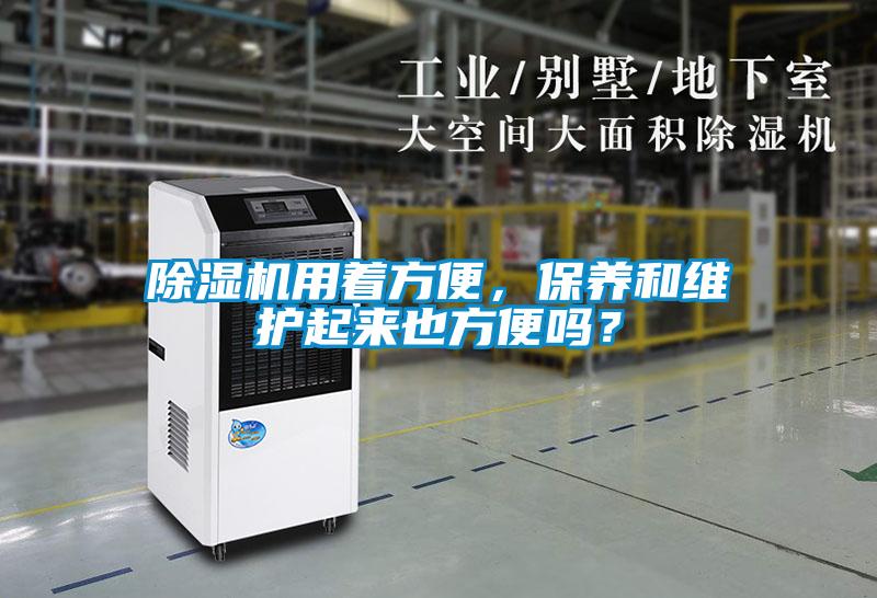 欧美黄色性爱视频网站 除湿机用着方便，保养和维护起来也方便吗？