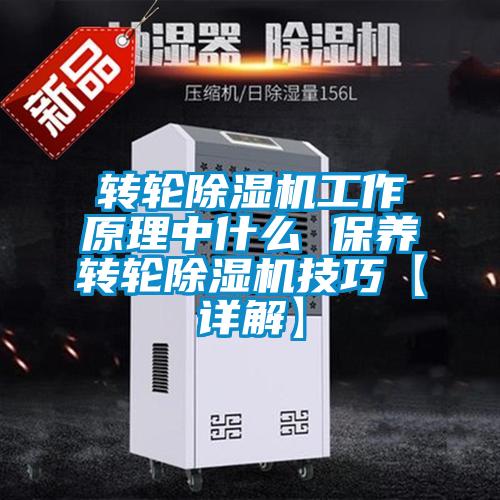 欧美黄色性爱视频网站 转轮除湿机工作原理中什么 保养转轮除湿机技巧【详解】