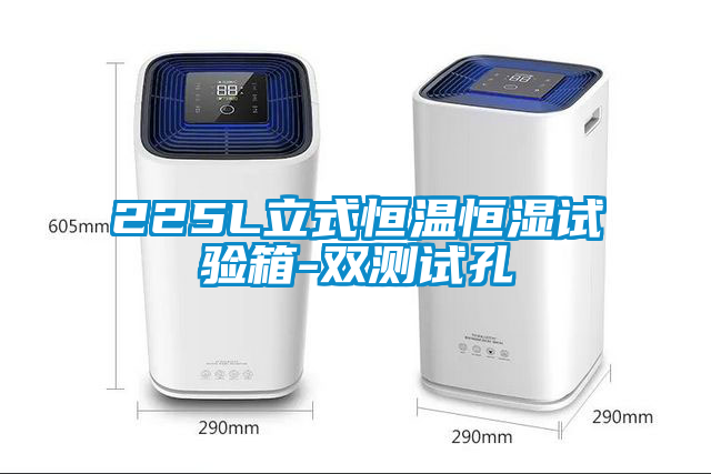 欧美成色手机在线观看 225L立式恒温恒湿试验箱-双测试孔