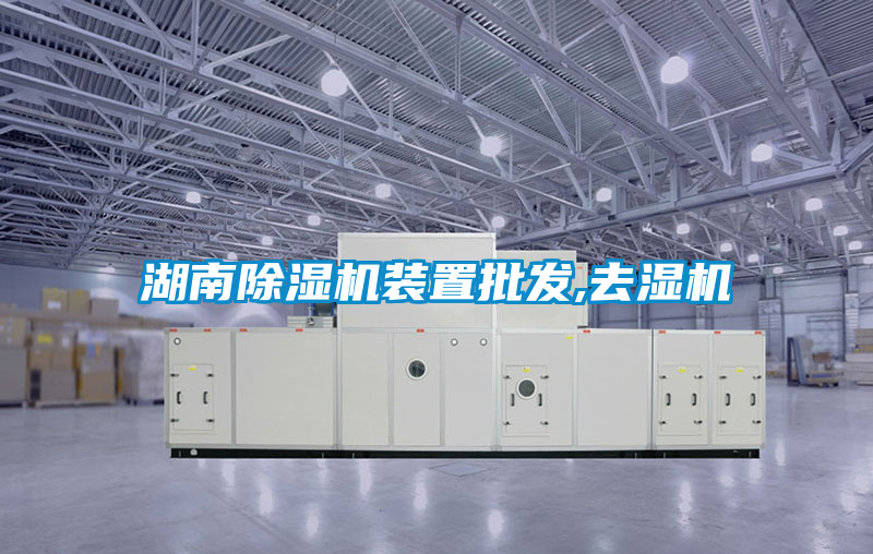 欧美黄色性爱视频网站 湖南除湿机装置批发,去湿机