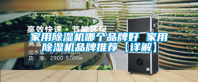 欧美黄色电影在线播放 家用除湿机哪个品牌好 家用除湿机品牌推荐【详解】