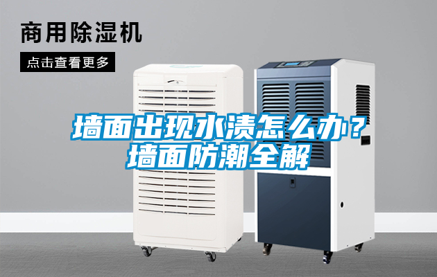 欧美黄色性爱视频网站 墙面出现水渍怎么办？墙面防潮全解