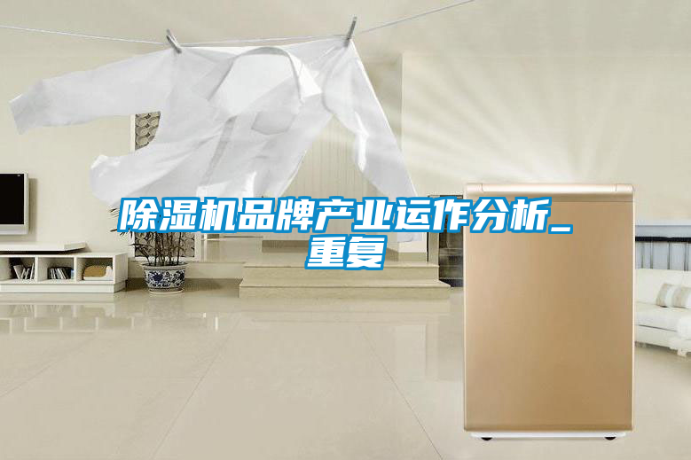 欧美成色手机在线观看 除湿机品牌产业运作分析_重复