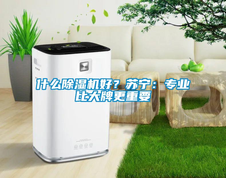 欧美黄色性爱视频网站 什么除湿机好？苏宁：专业比大牌更重要