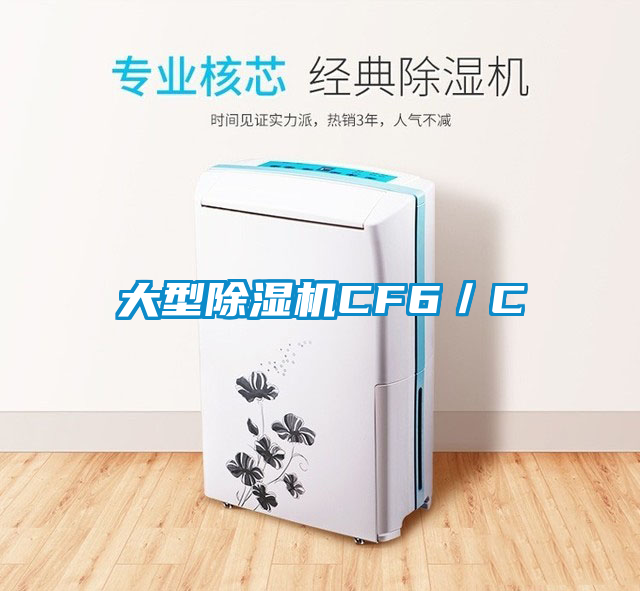 欧美黄色性爱视频网站 大型除湿机CF6／C