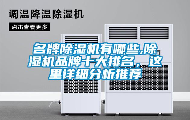 欧美黄色电影在线播放 名牌除湿机有哪些,除湿机品牌十大排名，这里详细分析推荐