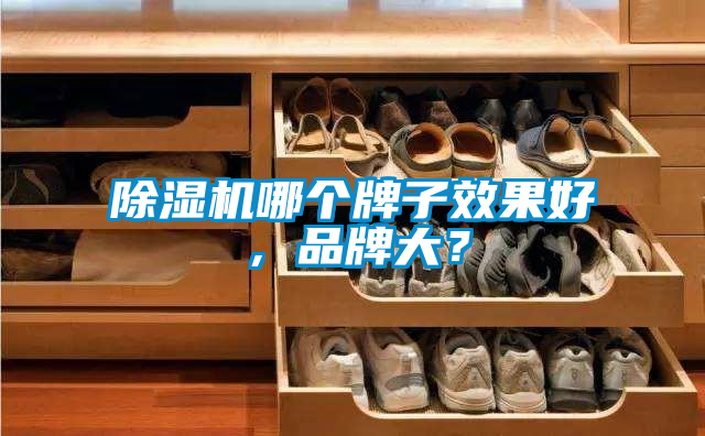 欧美成色手机在线观看 除湿机哪个牌子效果好，品牌大？