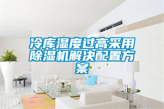 欧美黄色电影在线播放 冷库湿度过高采用除湿机解决配置方案