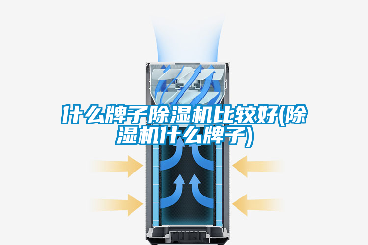 欧美成色手机在线观看 什么牌子除湿机比较好(除湿机什么牌子)