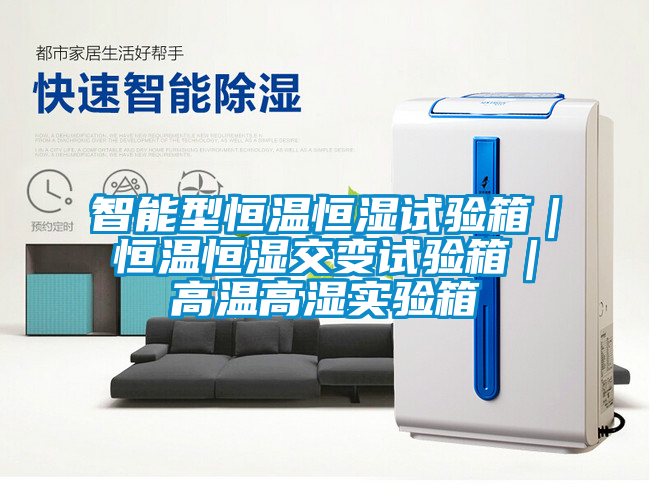 欧美黄色电影在线播放 智能型恒温恒湿试验箱｜恒温恒湿交变试验箱｜高温高湿实验箱