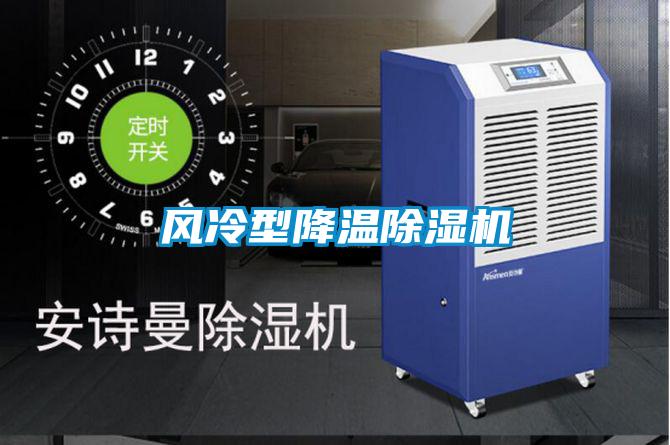 欧美黄色性爱视频网站 风冷型降温除湿机