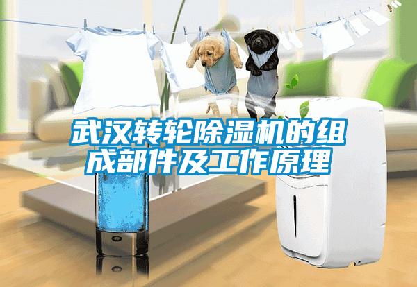 欧美黄色性爱视频网站 武汉转轮除湿机的组成部件及工作原理