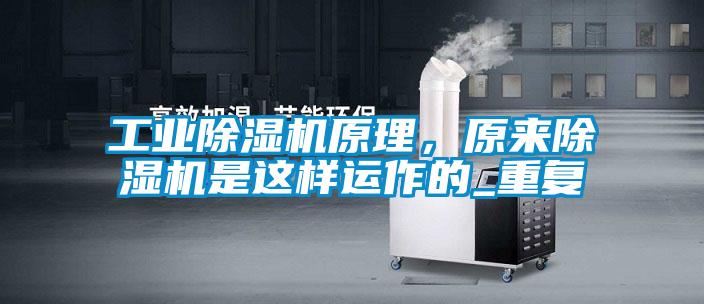 欧美黄色性爱视频网站 工业除湿机原理，原来除湿机是这样运作的_重复