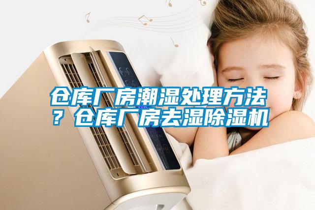 欧美成色手机在线观看 仓库厂房潮湿处理方法？仓库厂房去湿除湿机