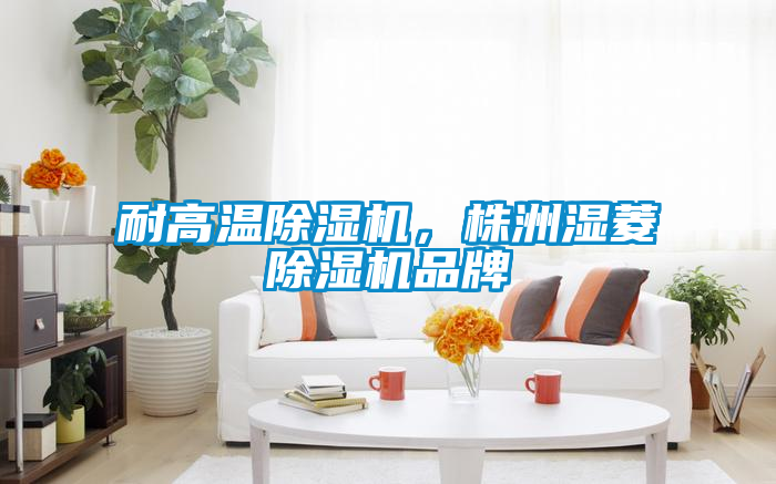 欧美黄色电影在线播放 耐高温除湿机，株洲湿菱除湿机品牌