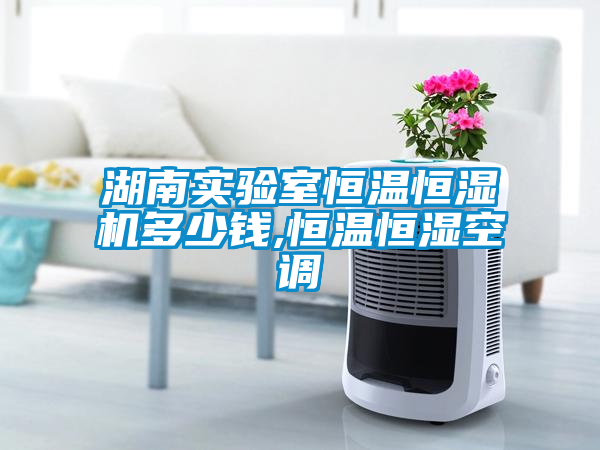 欧美黄色电影在线播放 湖南实验室恒温恒湿机多少钱,恒温恒湿空调