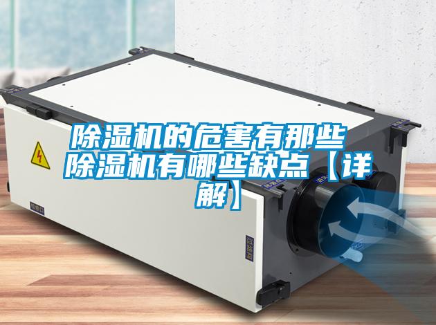 欧美成色手机在线观看 除湿机的危害有那些 除湿机有哪些缺点【详解】