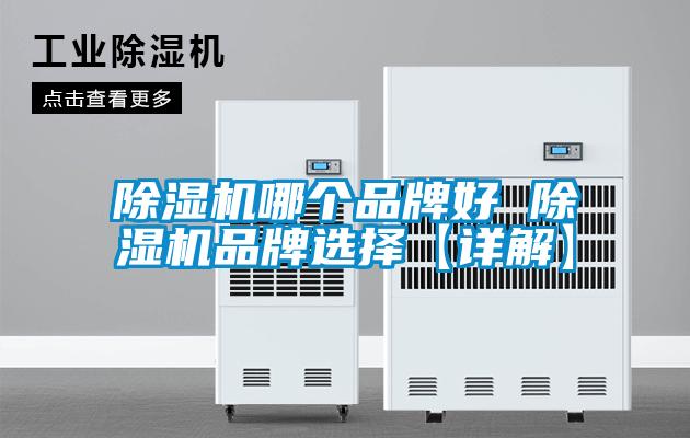 欧美黄色性爱视频网站 除湿机哪个品牌好 除湿机品牌选择【详解】
