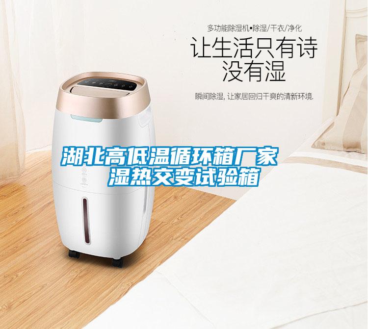 欧美成色手机在线观看 湖北高低温循环箱厂家  湿热交变试验箱
