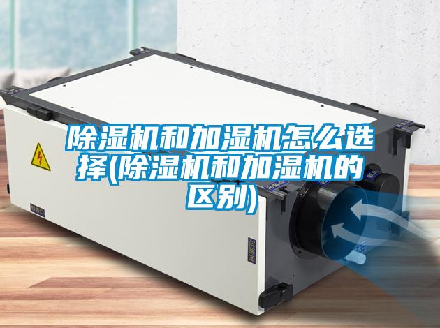 欧美黄色性爱视频网站 除湿机和加湿机怎么选择(除湿机和加湿机的区别)