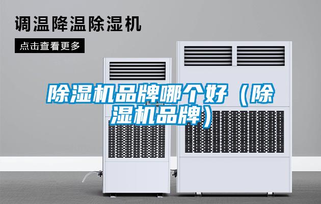 欧美黄色电影在线播放 除湿机品牌哪个好（除湿机品牌）