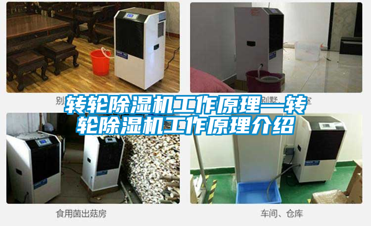 欧美黄色性爱视频网站 转轮除湿机工作原理—转轮除湿机工作原理介绍