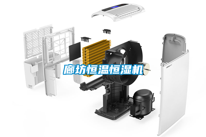 欧美黄色电影在线播放 廊坊恒温恒湿机