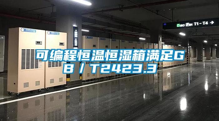 欧美黄色性爱视频网站 可编程恒温恒湿箱满足GB／T2423.3