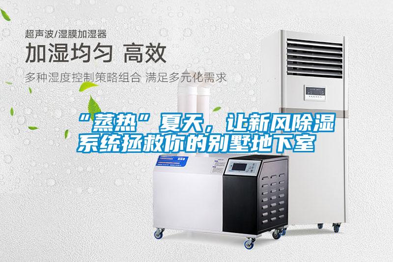 欧美黄色性爱视频网站 “蒸热”夏天，让新风除湿系统拯救你的别墅地下室
