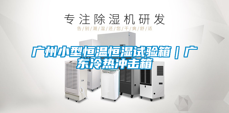 欧美黄色电影在线播放 广州小型恒温恒湿试验箱｜广东冷热冲击箱